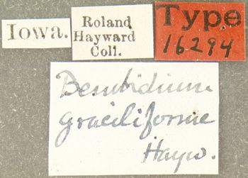 Media type: image;   Entomology 16294 Aspect: labels